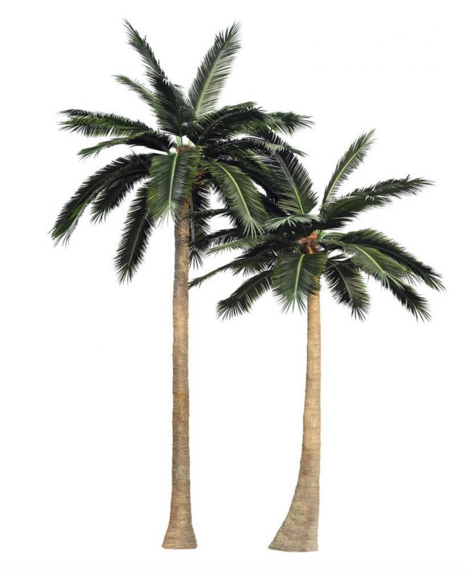 Artificial Coconut Tree two different sizes