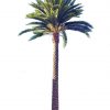 artificial middle east date palm