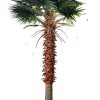 Artificial fan palm leaves and tree