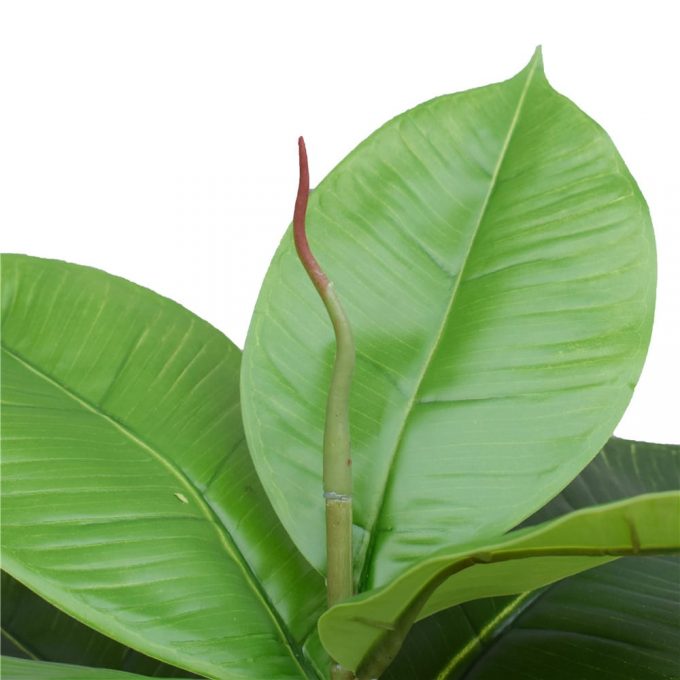 Artificial Potted Rubber Plant Detials