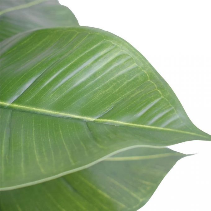 Artificial Potted Rubber Plant Details