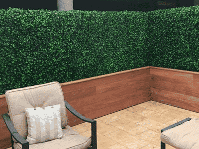 Boxed hedge privacy in the home backyard - no nosy neighbours