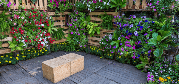 Maintaing a vertical garden in the home or for events - garden maintenance tips