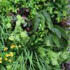 flowers of an artificial green wall