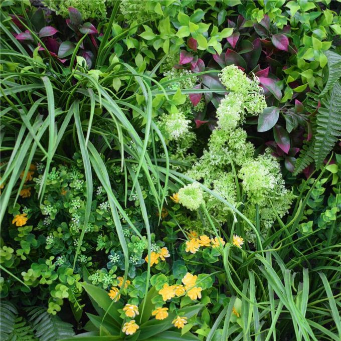 flowers and plants of the artificial green wall