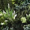 Sample of premium bespoke green wall panel