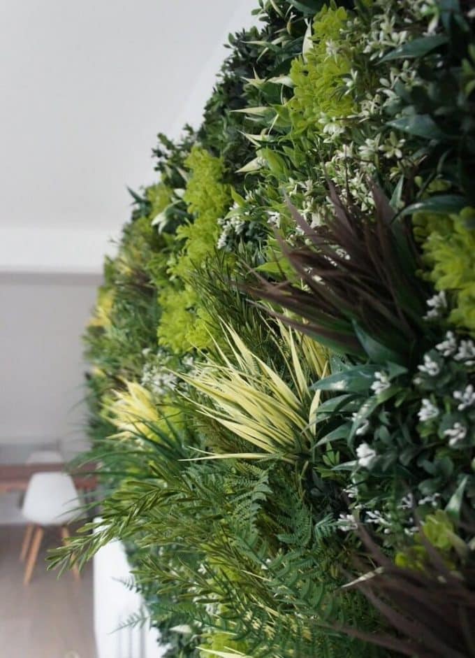 green wall panel installed into a kitchen