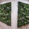 Premium Vertical Garden Panel Installed for a Hall Way Entrance and foyer