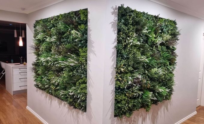 Premium Vertical Garden Panel Installed for a Hall Way Entrance and foyer