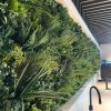 green wall panel installed into a display home