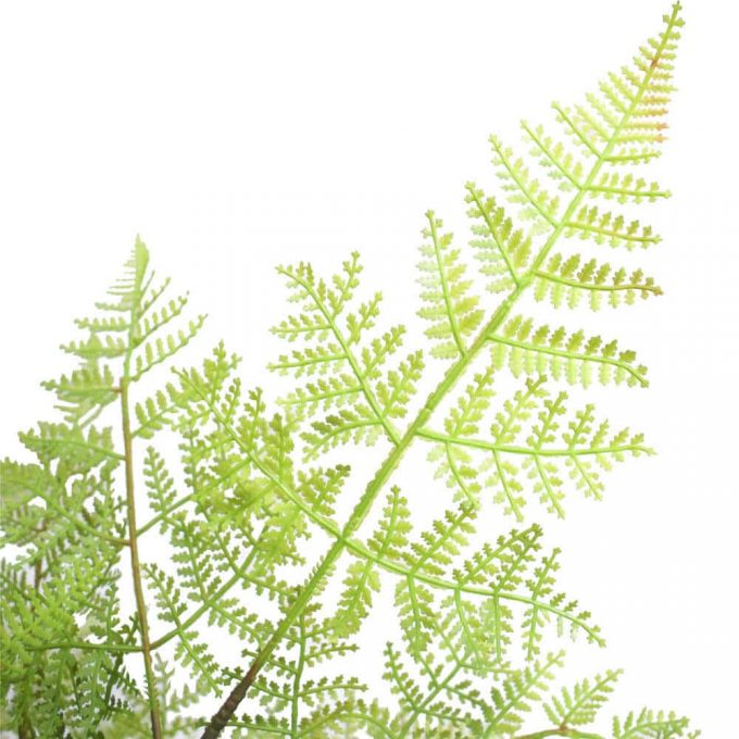 Faux Natural Fern Tree