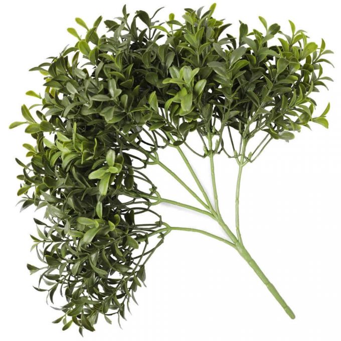 Dense Artificial Buxus Foliage