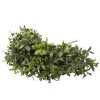 Dense Artificial Buxus Foliage