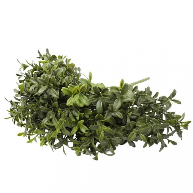 Dense Artificial Buxus Foliage
