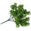 Vivid Green Wide Eucalypts Plant