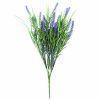 Long Stem Purple Lavender Plant