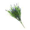Long Stem Purple Lavender Plant