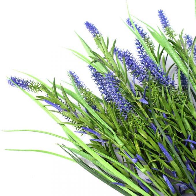 Long Stem Purple Lavender Plant