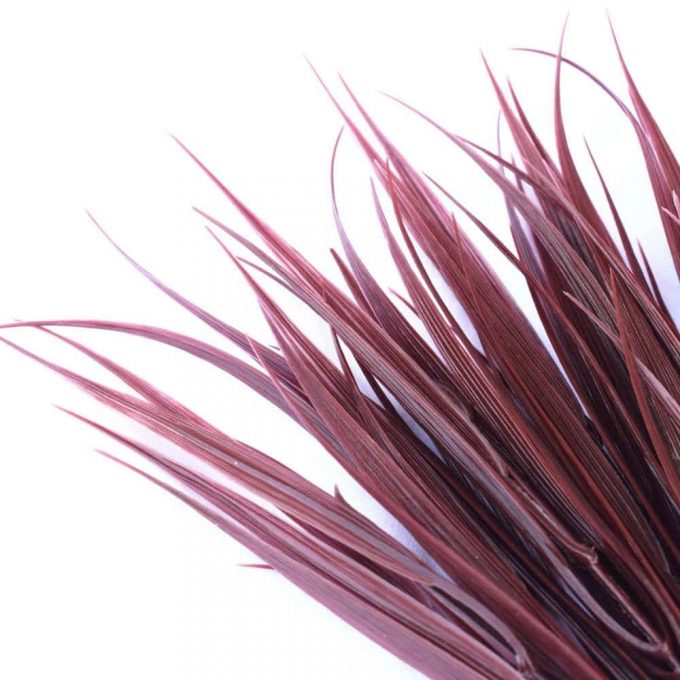 Dark Red Artificial Grass Stem