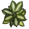 fake potted plant lily stem