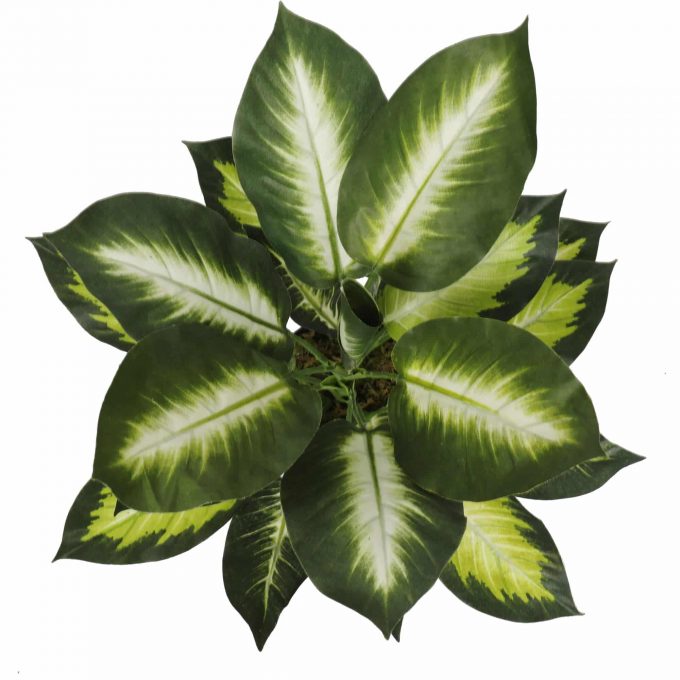 fake potted plant lily stem