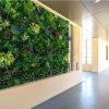 Carpark walk way with fake plant wall