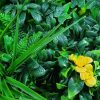 artificial yellow rose and fake grasses