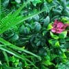 flowering purple pink artificial jasmine stem