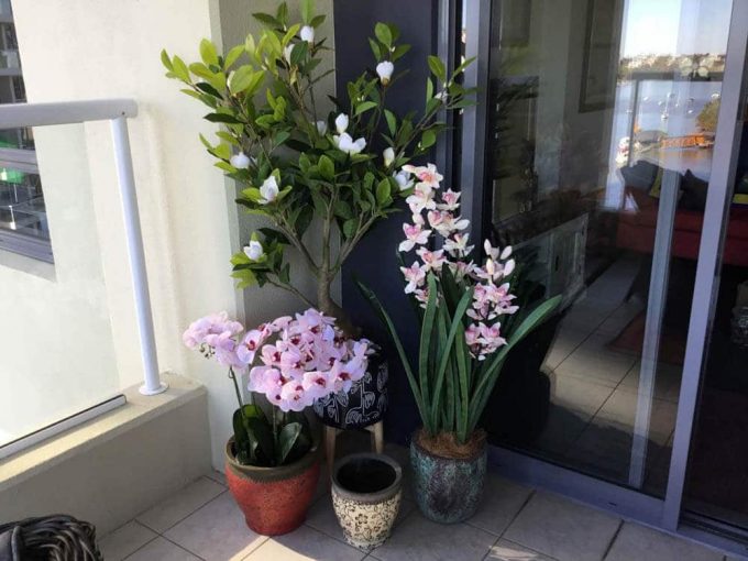 Balcony Artificial Plants