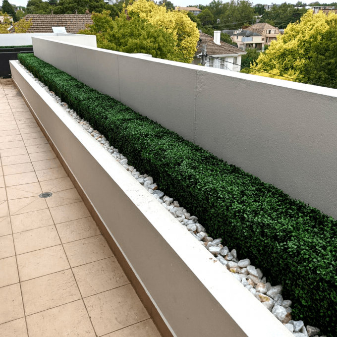 Portable Boxwood Hedge UV Resistant 25cm High 100cm Long