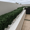 Portable Boxwood Hedge UV Resistant 25cm High 100cm Long