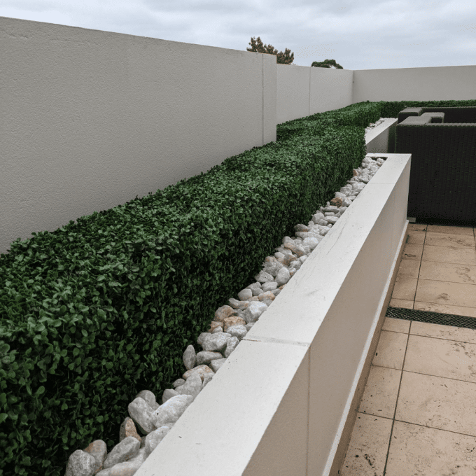 Portable Boxwood Hedge UV Resistant 25cm High 100cm Long