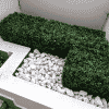 Portable Boxwood Hedge UV Resistant 25cm High 100cm Long