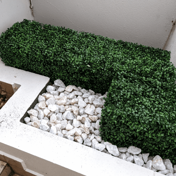 Portable Boxwood Hedge UV Resistant 25cm High 100cm Long