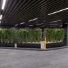 Artificial Bamboo Plants Potted in Melbourne