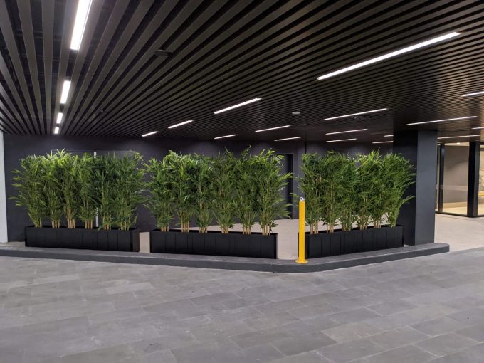 Artificial Bamboo Plants Potted in Melbourne