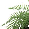 Large artificial hanging basket fern - fern view