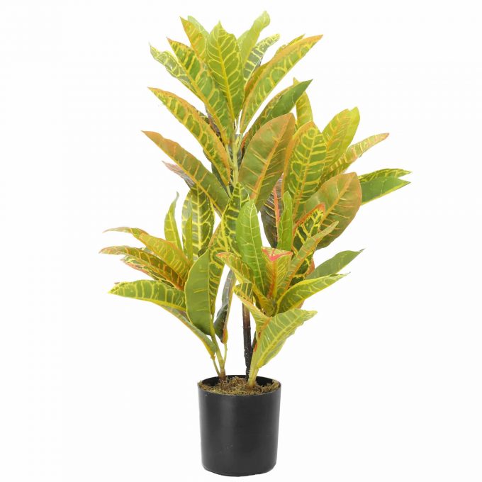 artificial potted Codiaeum variegatum