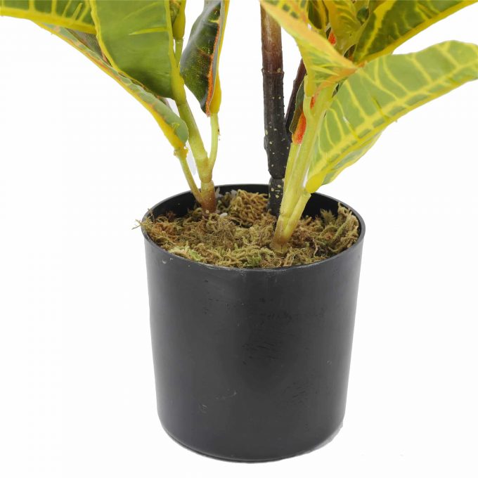 pot - artificial potted Codiaeum variegatum