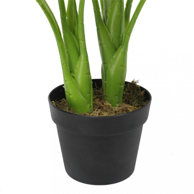 fake potted taro plant