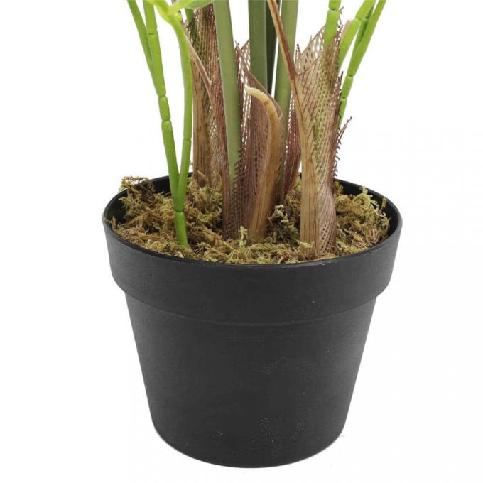 trunk - small potted artificial areca tree