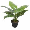 small tambour cabinet fake plant - taro plant