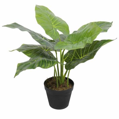 small tambour cabinet fake plant - taro plant