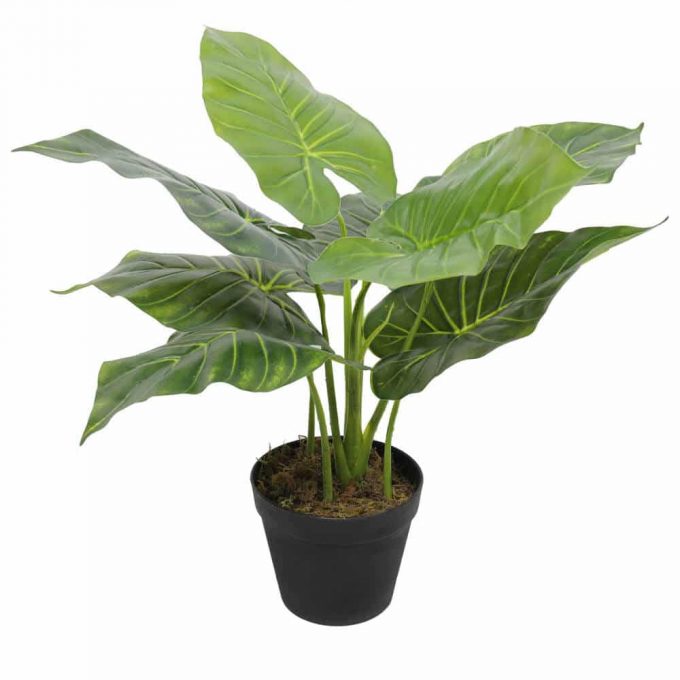 small tambour cabinet fake plant - taro plant