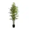 Full View of Real Touch Leaves Natural Bamboo Trunk