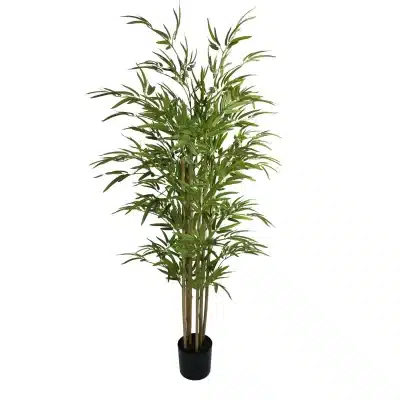 Front View Natural Bamboo Trunk 150cm