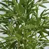 Foliages of Real Touch Leaves Natural Bamboo Trunk