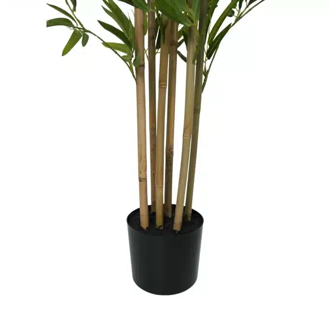 Close Up Trunk photo of Natural Bamboo