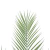 Artificial Palm 80CM Height Indoor Leaves