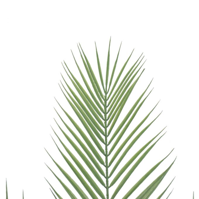 Artificial Palm 80CM Height Indoor Leaves